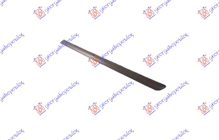 REAR DOOR MOULDING