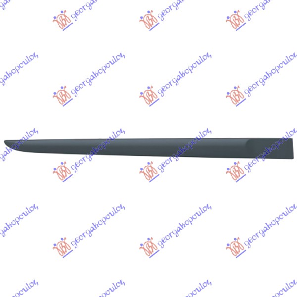 REAR DOOR MOULDING