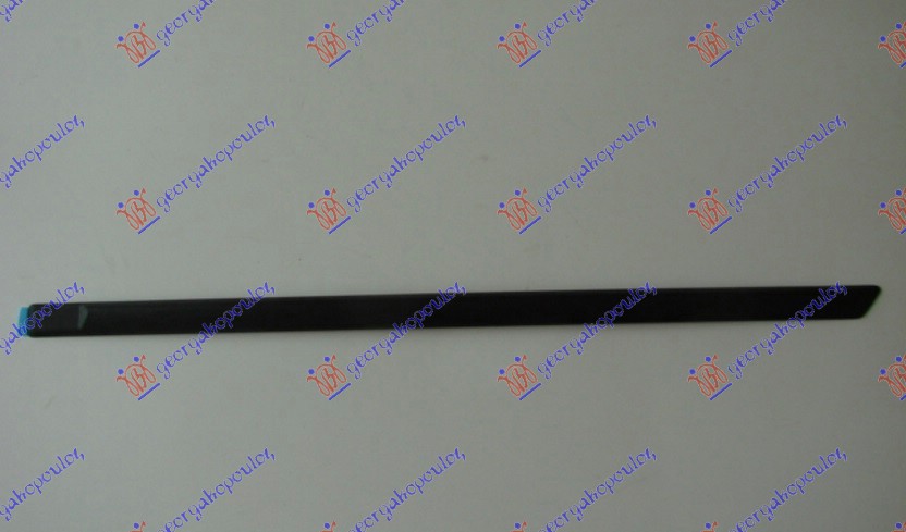 FRONT DOOR MOULDING