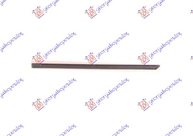 REAR DOOR MOULDING