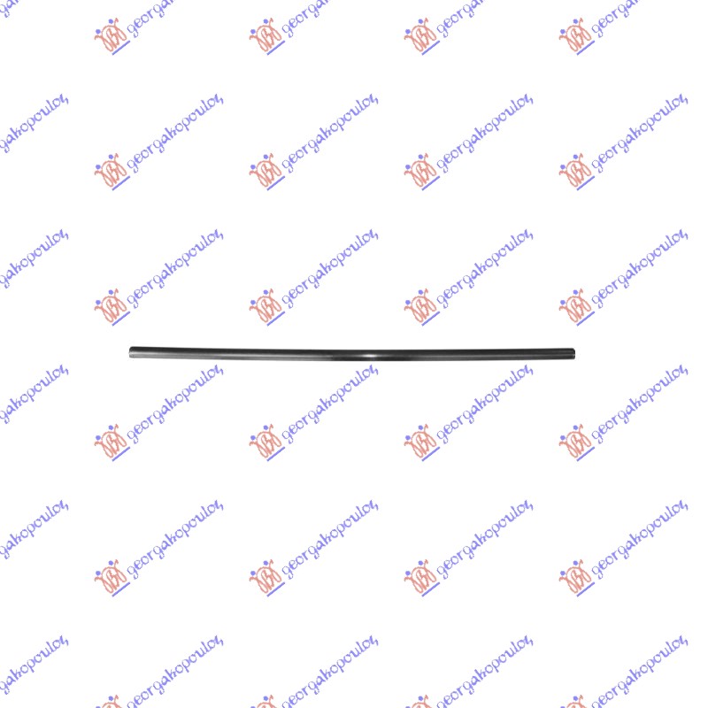 FRONT DOOR SIDE MOULDING