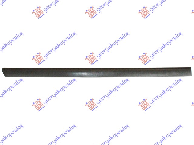 REAR DOOR MOULDING