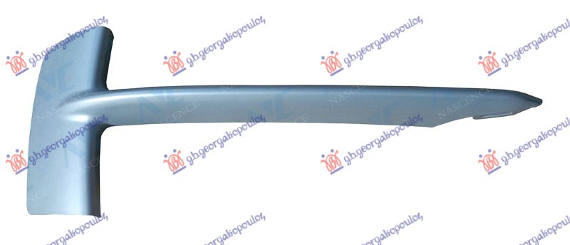 FRONT BUMPER GRILLE MOULDING