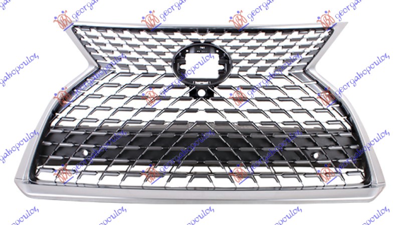 GRILLE (W/PDS & CAMERA)