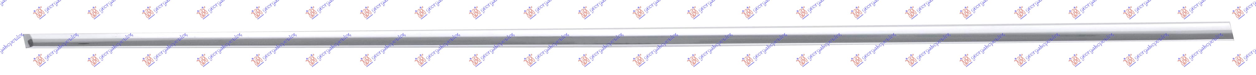 FRONT DOOR MOULDING CHROME