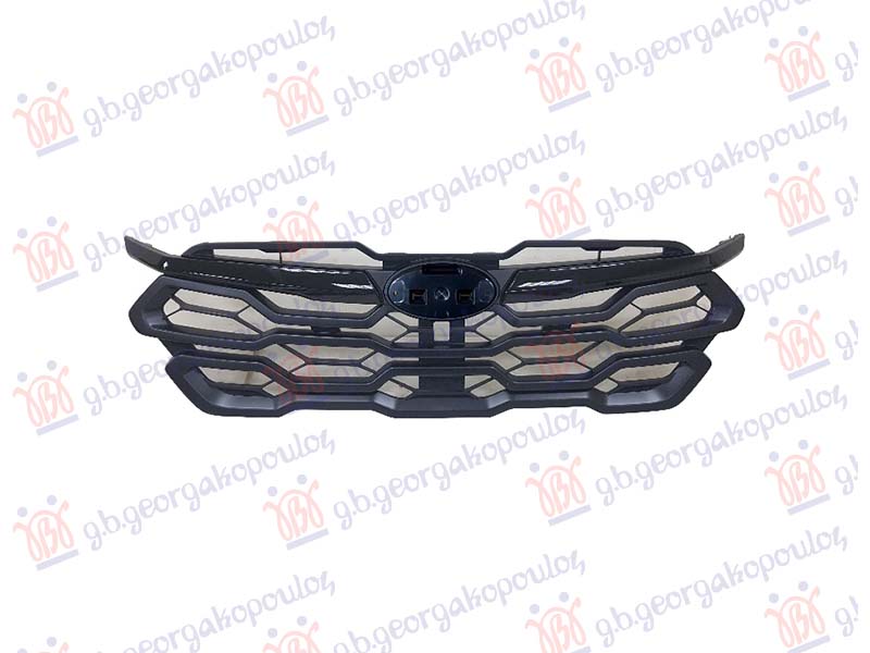 GRILLE (W/BLACK MOULDING) (W/CAMERA HOLE)