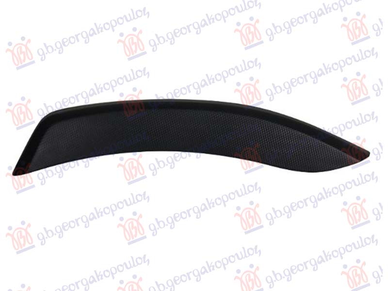 REAR DOOR MOULDING