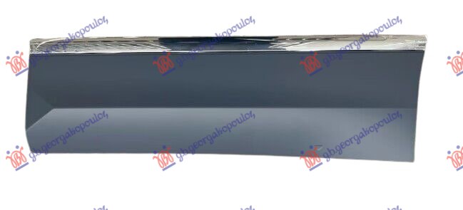 REAR DOOR MOULDING (WITH CHROME) (R-LINE)